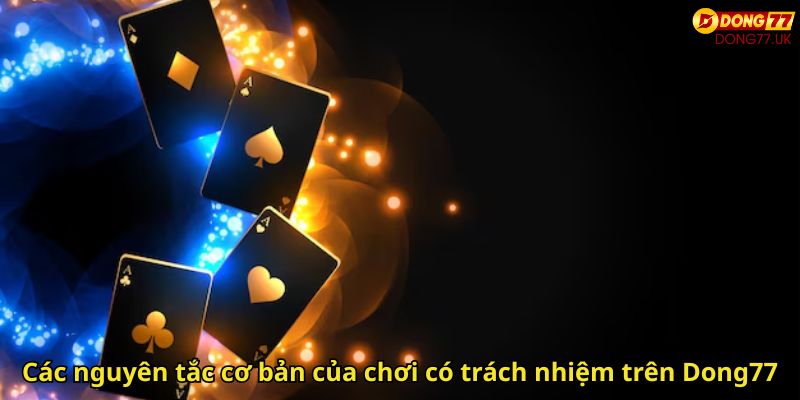 Cac nguyen tac co ban cua choi co trach nhiem tren Dong77