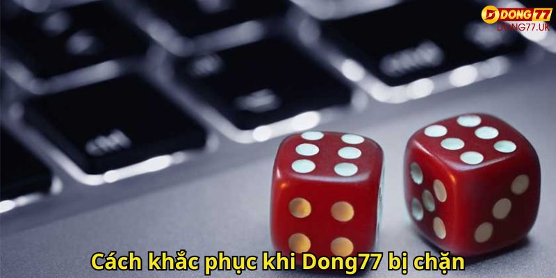 Link Vào Dong77 Nhanh Chóng Hướng Dẫn Chi Tiết 2 Cách khắc phục khi Dong77 bị chặn