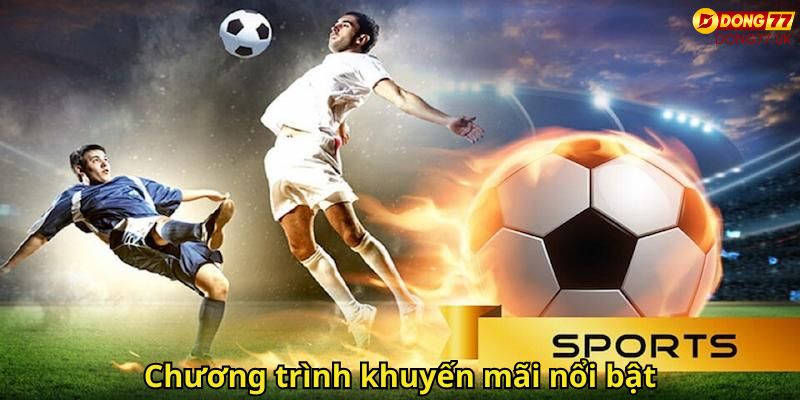 Thể Thao Dong77 – Trải Nghiệm Cá Cược Thể Thao Đỉnh Cao 3 Chương trình khuyến mãi nổi bật