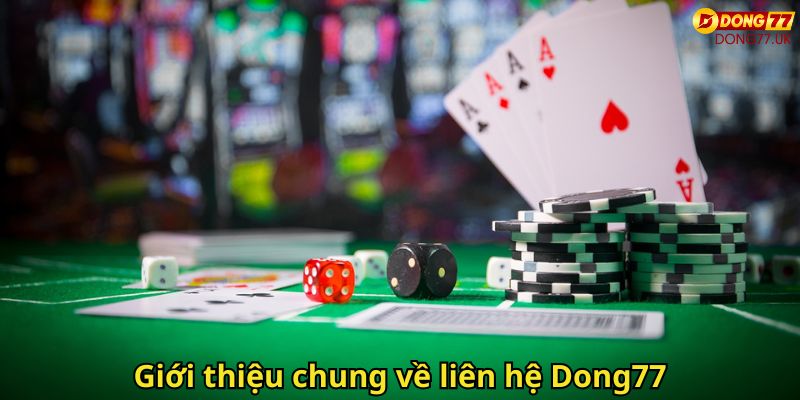 Liên Hệ Dong77: Hỗ Trợ Nhanh Chóng, An Toàn Và Tận Tâm 1 Giới thiệu chung về liên hệ Dong77