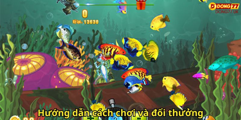 Bắn Cá Dong77 – Trải Nghiệm Game Bắn Cá Đổi Thưởng Hấp Dẫn 3 Hướng dẫn cách chơi và đổi thưởng